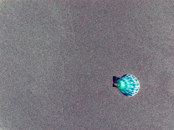 N 039E